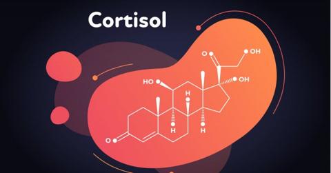 علاج ارتفاع هرمون الكورتيزول طبيعياً