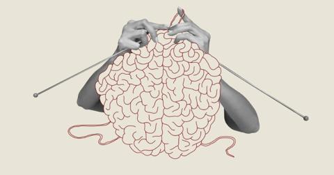 نظرية التعلم المستند إلى الدماغ خصائصها